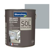 Peinture Sol Couleur Gris Moyen Blanchon